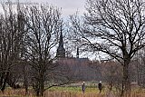 04-01-2021 Breda - De blaadjes zijn inmiddels van de bomen en het koud grauw en donker weer. Echt winteren wil het nog niet. - Fotokrant